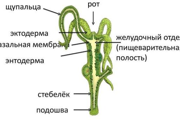 Ссылка кракен kraken014 com