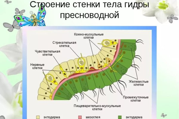 Магазины с наркотиками